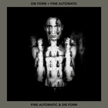 Fine Automatic & Die Form
