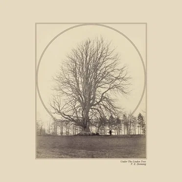 Under the Linden Tree by F.E. Denning - album cover