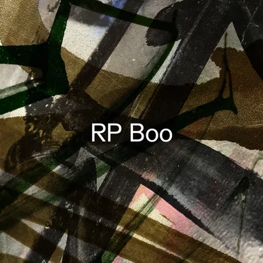 Established! by RP Boo - album cover