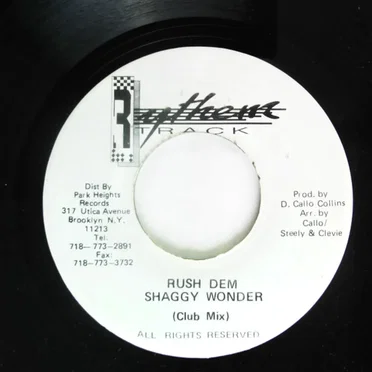 Rush Dem by Shaggy Wonder - album cover