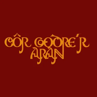 Côr Godre’r Aran