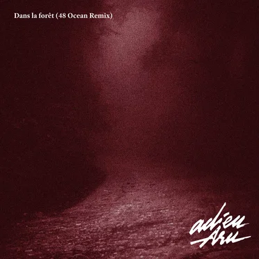 Dans la forêt (48 Ocean Remix)