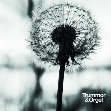 Trummor & Orgel