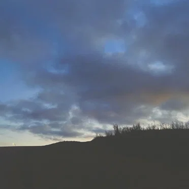 night in blue dreams