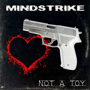 Not a Toy