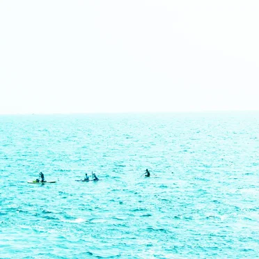 Coastal Railroads in Memories