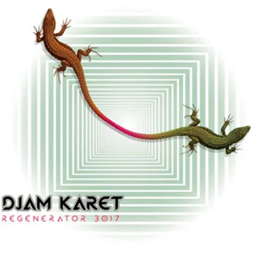 Regenerator 3017 by Djam Karet - album cover