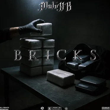 Bricks