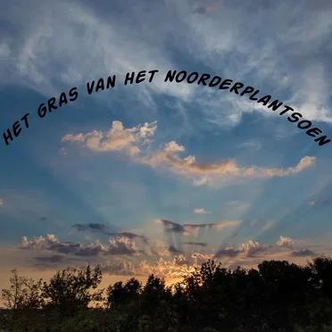 Het gras van het Noorderplantsoen