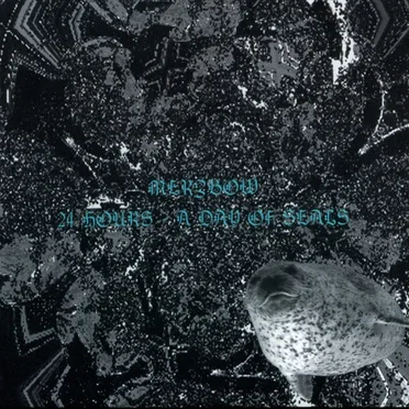 24 Hours: A Day of Seals