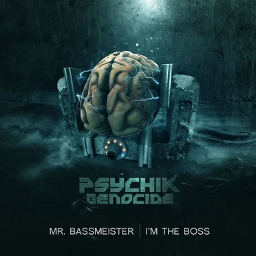 I'm the Boss by Mr. Bassmeister - album cover
