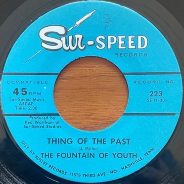 Thing Of The Past / Hard Woman by The Fountain of Youth - album cover