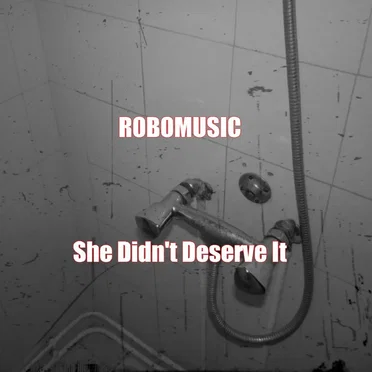 She Didn't Deserve It (Plain Remix) by Robomusic - album cover