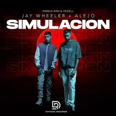Simulación