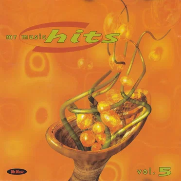 Mr Music Hits 5. 1998 by Various Artists - album cover
