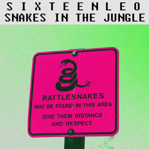 Snakes In The Jungle