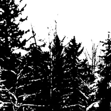 Eine einsame Winternacht