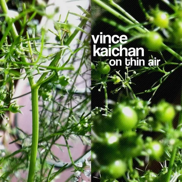 On Thin Air by Vince Kaichan - album cover