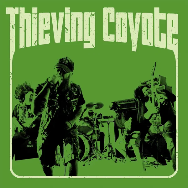 Thieving Coyote