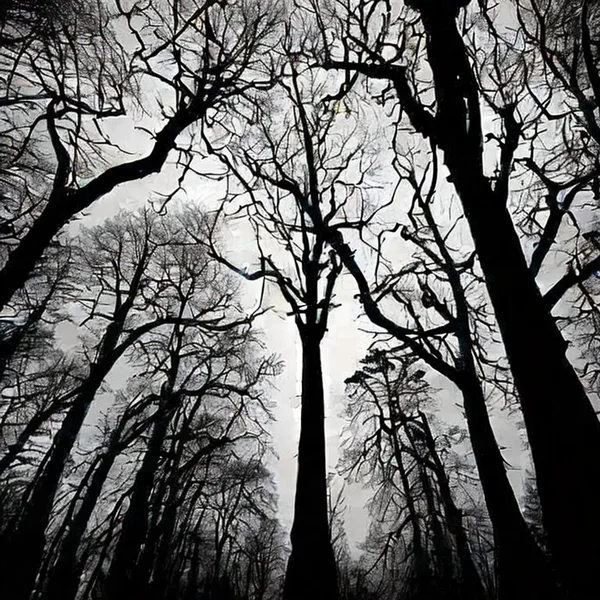 Las Sombras