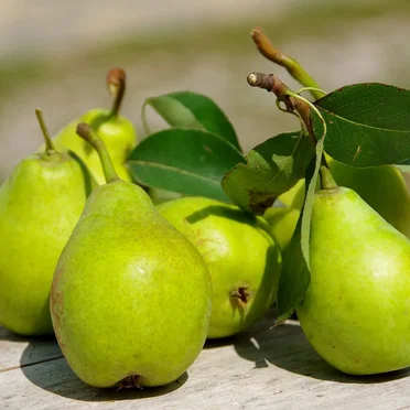 Pear Love by The Natural Pear Association - album cover