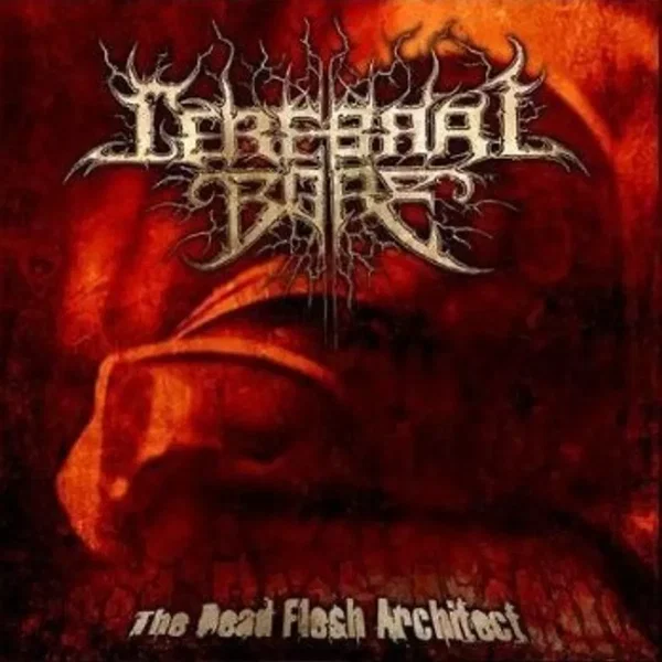 Dead Flesh Architect