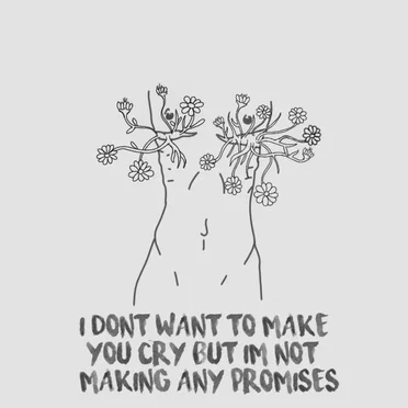I Don't Want To Make You Cry But I'm Not Making Any Promises