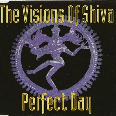 Perfect Day by The Visions of Shiva - album cover