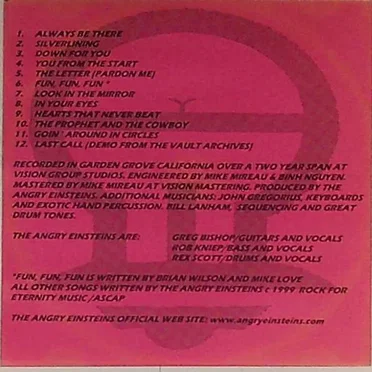 Cracked by The Angry Einsteins - album cover
