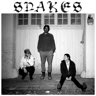 Snakes