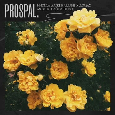 Иногда даже в ледяных домах можно найти тепло by prospal. - album cover