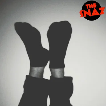 Running Away From Home by The Snaz - album cover