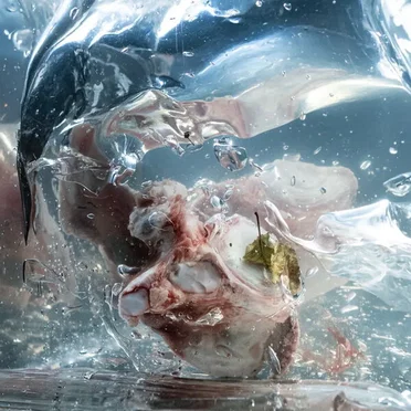 Liquid Bones by Noémi Büchi - album cover