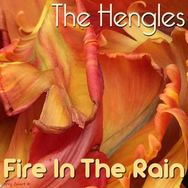 Fire in the Rain