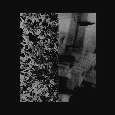 demos (demo versions)