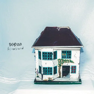(re)constructed by Bicurious - album cover