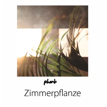 Zimmerpflanze by Pherb