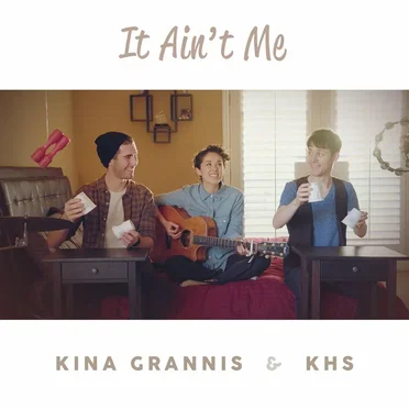 It Ain't Me (acoustic)