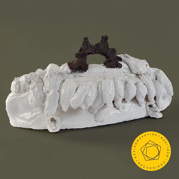 Schmidt: Symphony no. 4 / Stephan: Music for Orchestra