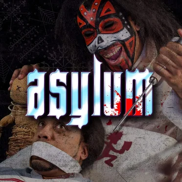 Asylum by Big Hoodoo - album cover