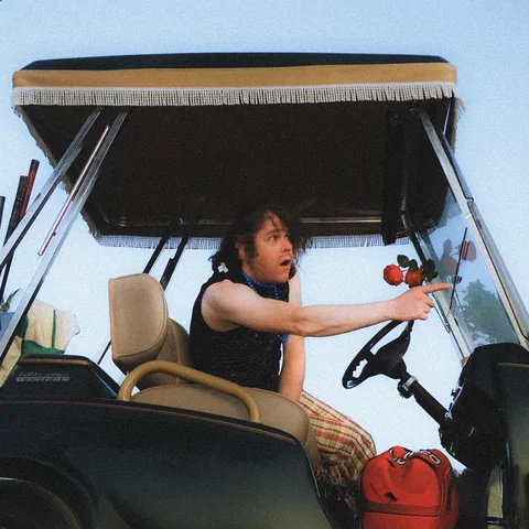 Ariel Pink