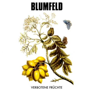 Verbotene Früchte by Blumfeld - album cover