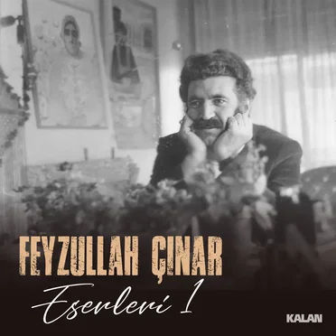 Feyzullah Çınar Eserleri 1 by Various Artists - album cover