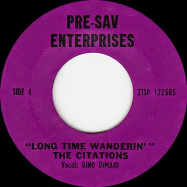Long Time Wanderin' / The Day That She'll Go by The Citations - album cover