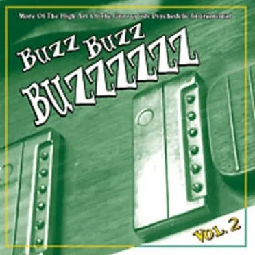 Buzz Buzz Buzzzzzz, Vol. 2 by Various Artists - album cover