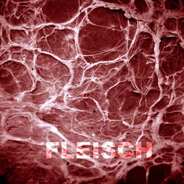 Fleisch by N8WANDLER - album cover