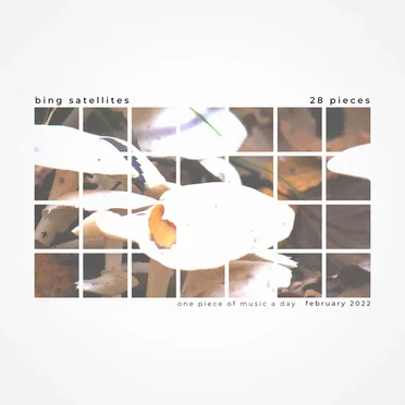 28 Pieces by Bing Satellites - album cover