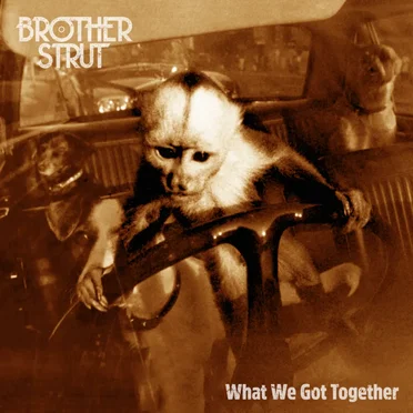 What We Got Together by Brother Strut - album cover