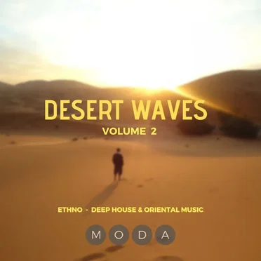 Desert Waves, Vol. 2 by Various Artists - album cover