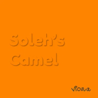 Soleh's Camel by VIONA - album cover